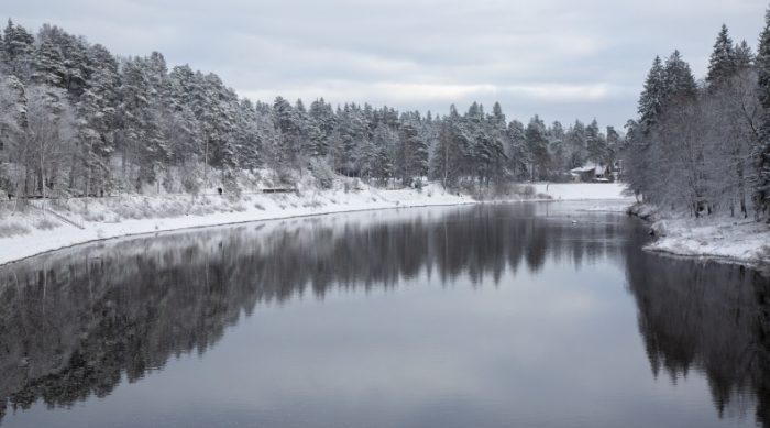 Radio vilks dabā: Upes – Latvijas asinsvadi