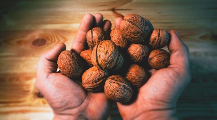 Ģimenes uzņēmums Walnut.lv pie Usmas ezera