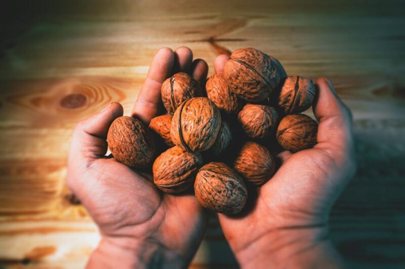 Ģimenes uzņēmums Walnut.lv pie Usmas ezera